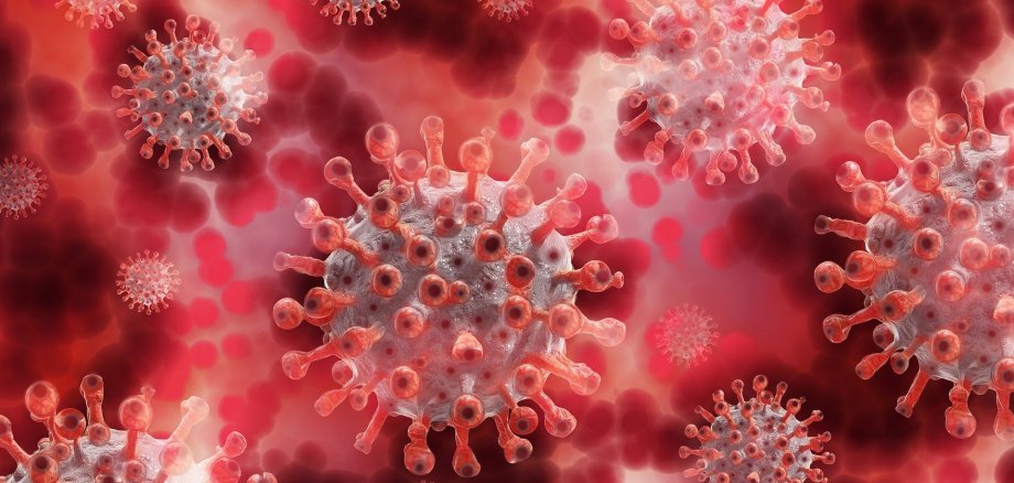 Corona-Virus