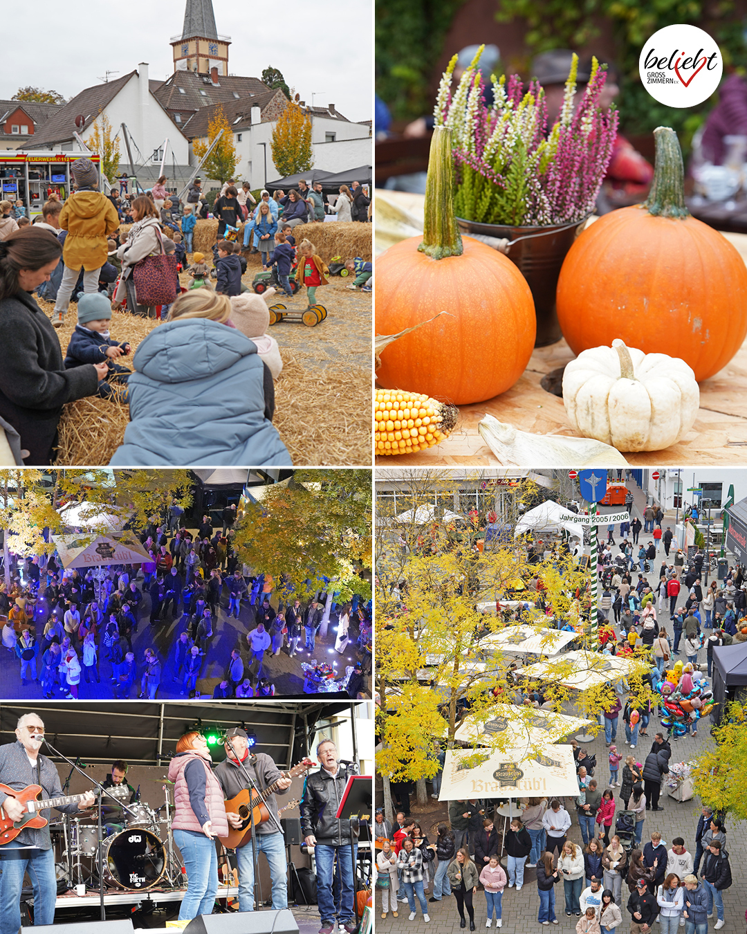 Kürbismarkt Auf dem Foto sind verschiedene Eindrücke des Kürbismarktes zu sehen