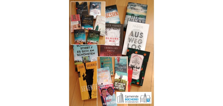 Im Foto zu sehen sind die gespendeten Bücher