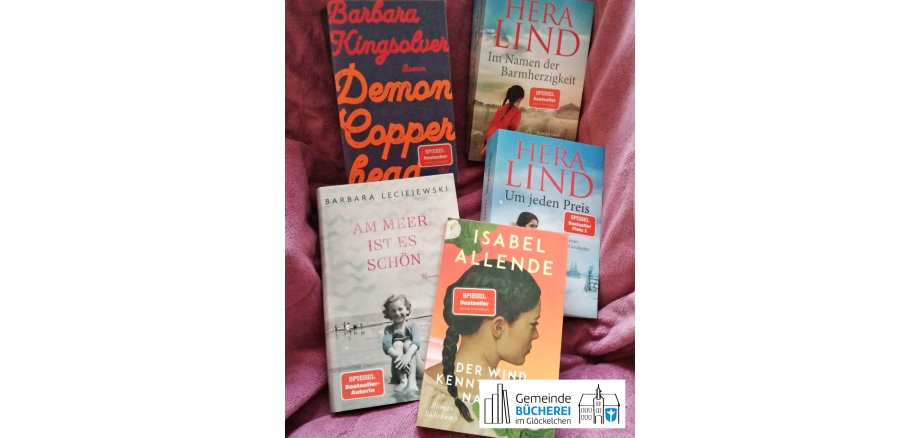 Im Foto zu sehen sind die Bücher „Der Wind kennt meinen Namen“, „Demon Copperhead“, „Am Meer ist es schön“, „Um jeden Preis“ und „Im Namen der Barmherzigkeit“
