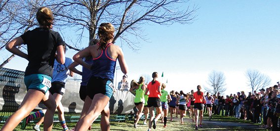 Stadtradeln-Bauzaunbanner.indd