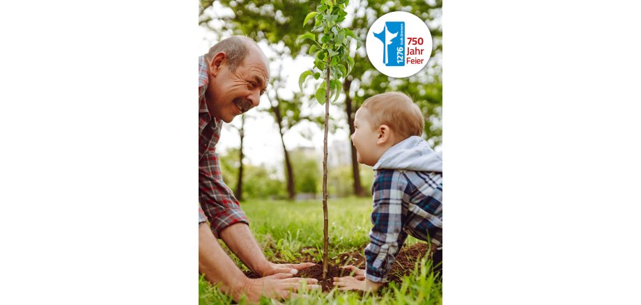 Abbildung Homepage-Startseite und Briefkasten des Rathauses