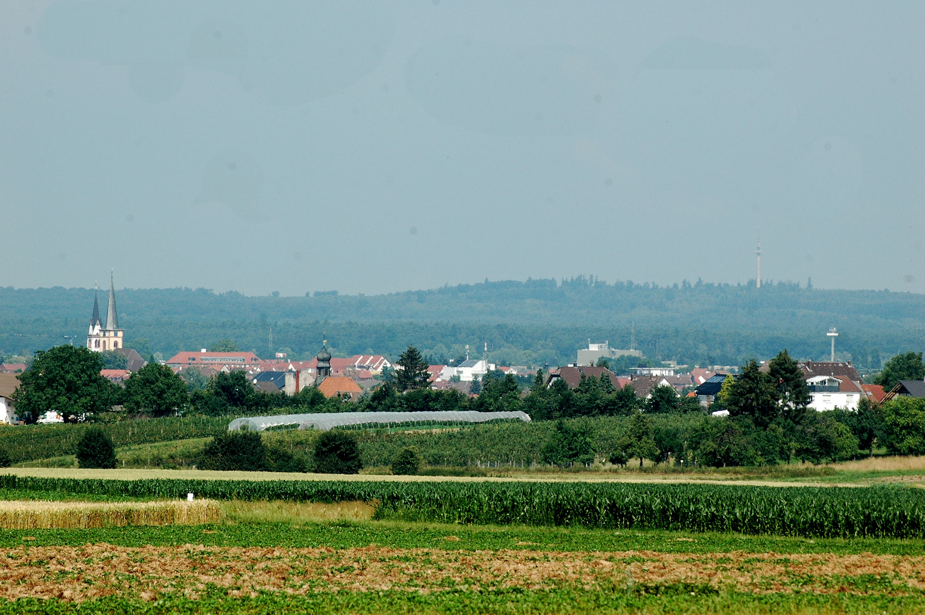 Blick auf Groß-Zimmern Panorama