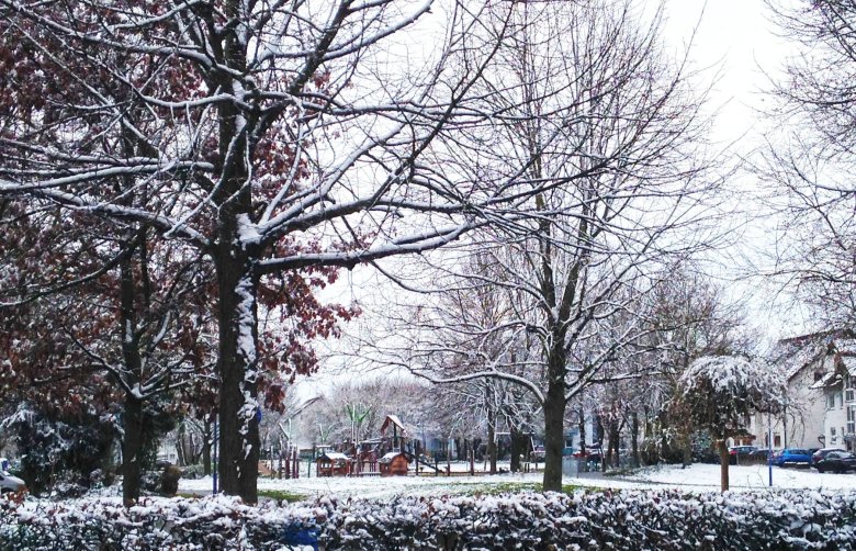 Grüne Mitte Groß-Zimmern im Winter