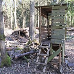 Waldkindergarten - Außen