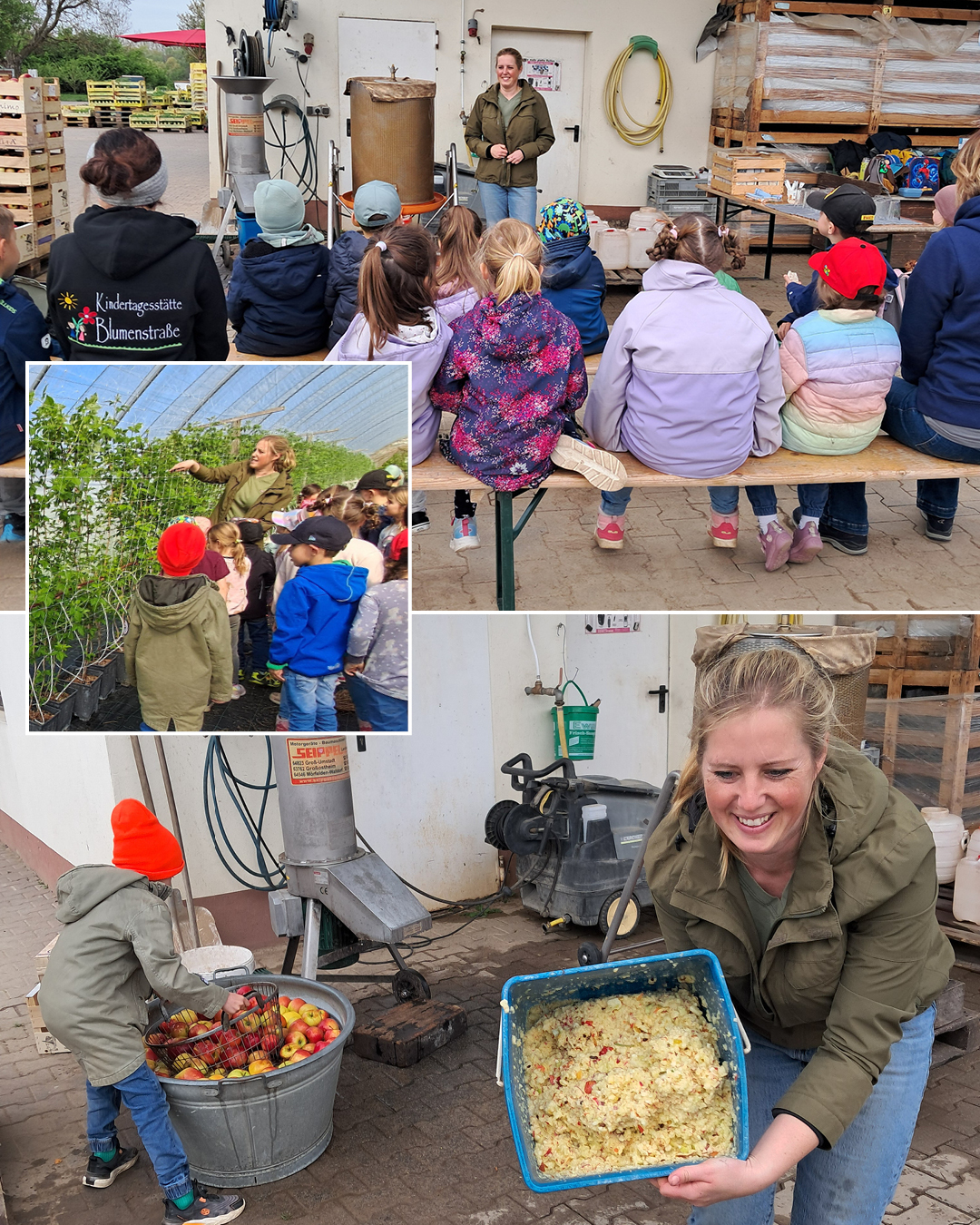 Vorschulprojekt der KITA Blumenstraße - Obstbau Geibel Auf den Fotos sind die Kinder beim Besuch des Obstbau Geibels zu sehen