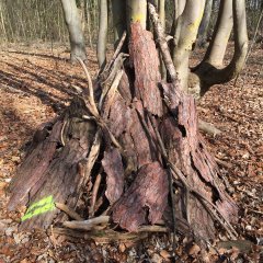 Waldkindergarten - Außen