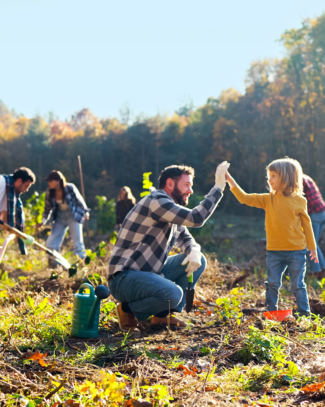 Auf dem Foto sind Menschen beim Baumpflanzen im Wald zu sehen