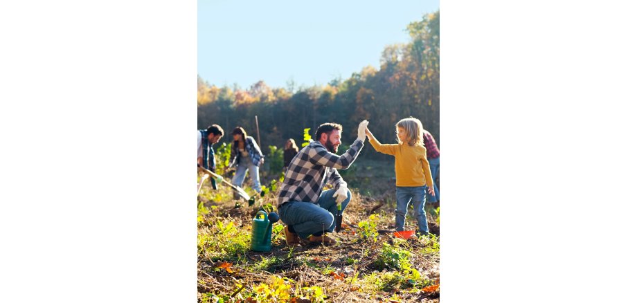 Auf dem Foto sind Menschen beim Baumpflanzen im Wald zu sehen