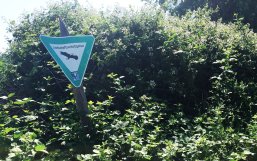Landschaftsschutz