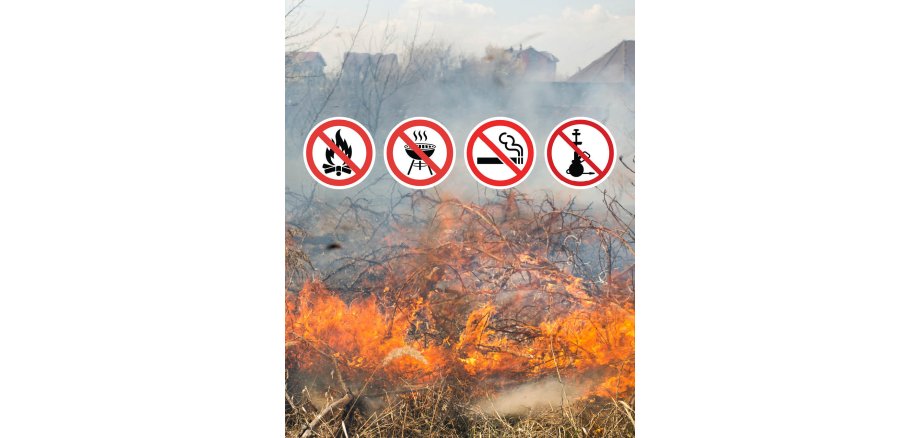 Allgemeinverfügung Feuer - Grill - Rauchverbot Auf dem Bild sind die Verbotszeichen und im Hintergrund eine brennende Freifläche zu sehen