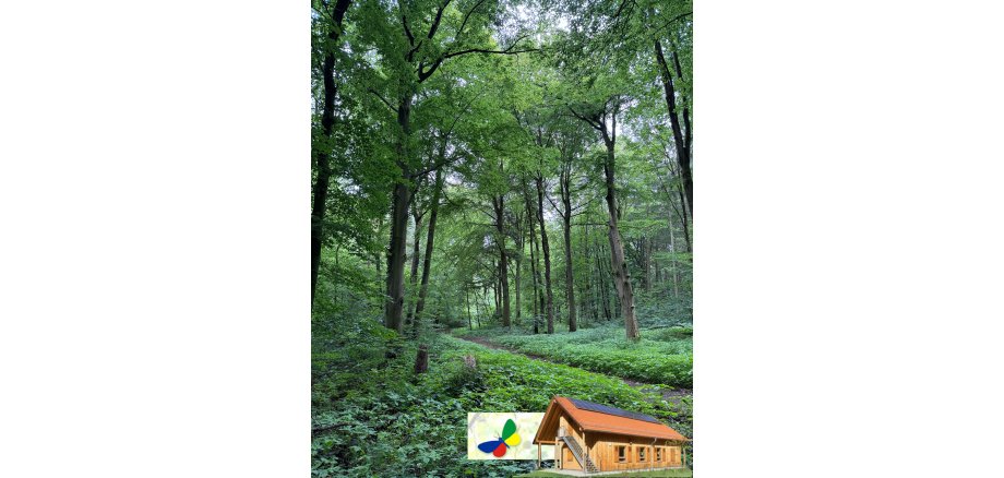 header_stadtfahren2