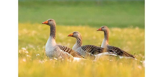 header_stadtfahren2 header_stadtfahren2