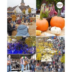Kürbismarkt Auf dem Foto sind verschiedene Eindrücke des Kürbismarktes zu sehen