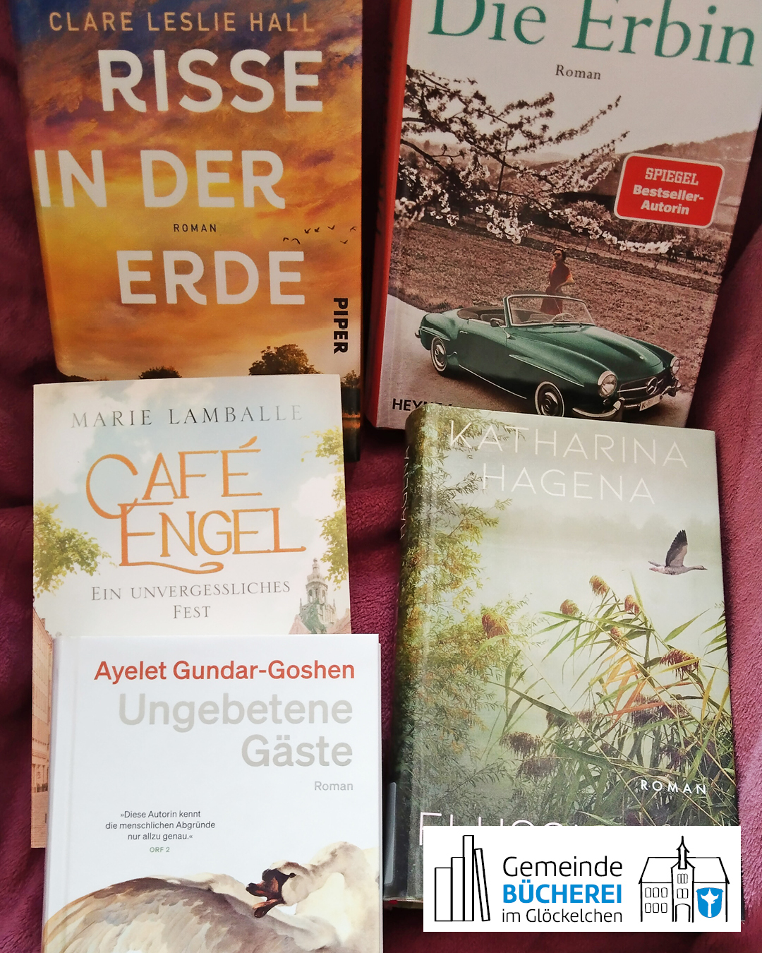 Derzeit beliebte Romane