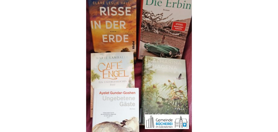 Derzeit beliebte Romane