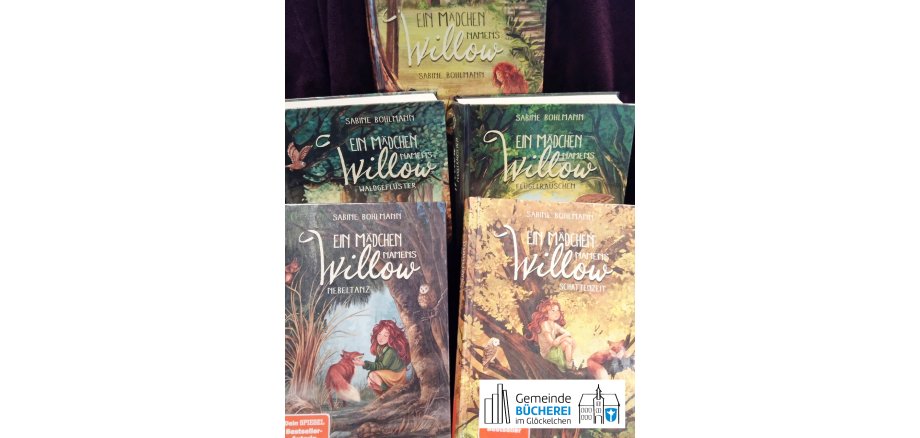 Beliebte Buchreihe "Ein Mädchen namens Willow" Im Foto zu sehen sind 4 im Artikel genannten Titel