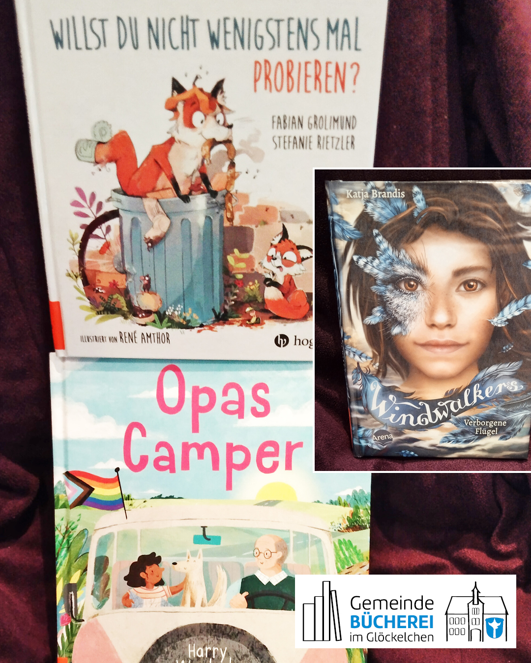 Derzeit beliebte Romane Im Foto zu sehen sind die Bücher „Opas Camper“, ,„Willst du nicht wenigstens mal probieren?“, „Windwalkers“ Band 1 „Verborgene Flügel“