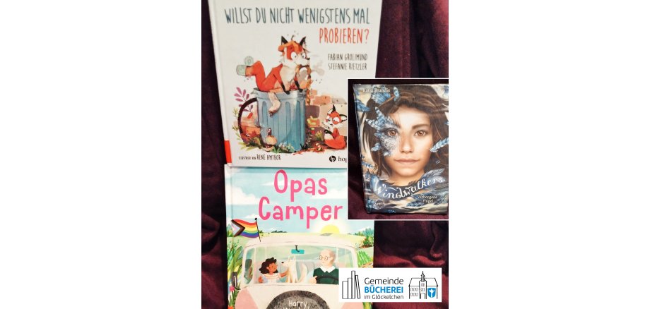 Im Foto zu sehen sind die Bücher „Opas Camper“, ,„Willst du nicht wenigstens mal probieren?“, „Windwalkers“ Band 1 „Verborgene Flügel“