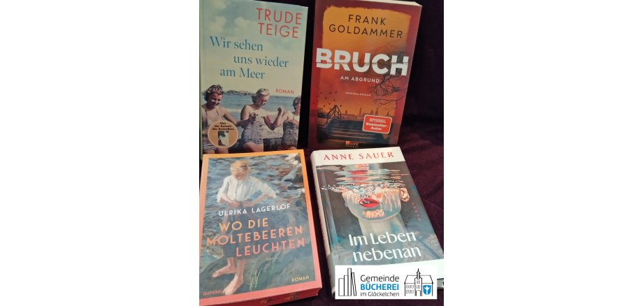 Neuer Lesestoff für Erwachsene Im Foto zu sehen sind 4 im Artikel genannten Titel