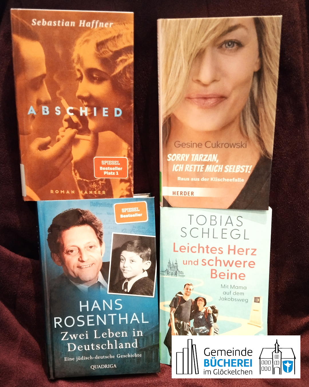 Im Foto zu sehen sind die Bücher „Zwei Leben in Deutschland“, „Leichtes Herz und schwere Beine“, „Sorry Tarzan, ich rette mich selbst“ und „Abschied“