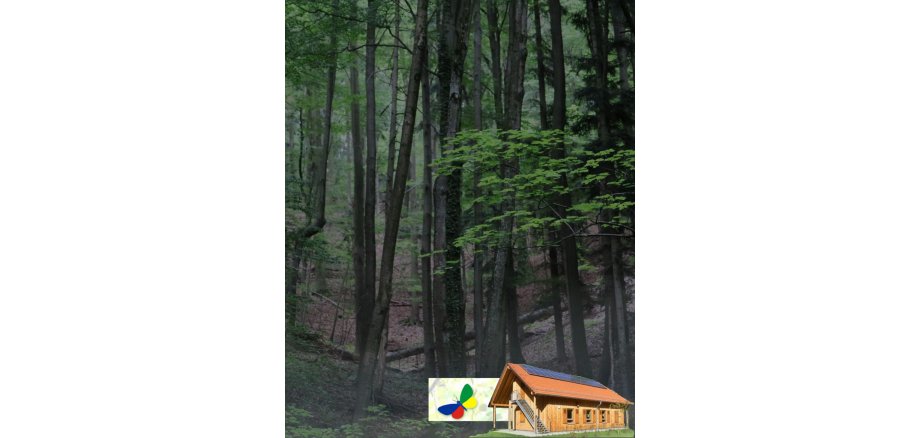 Im tiefen, dunklen Wald