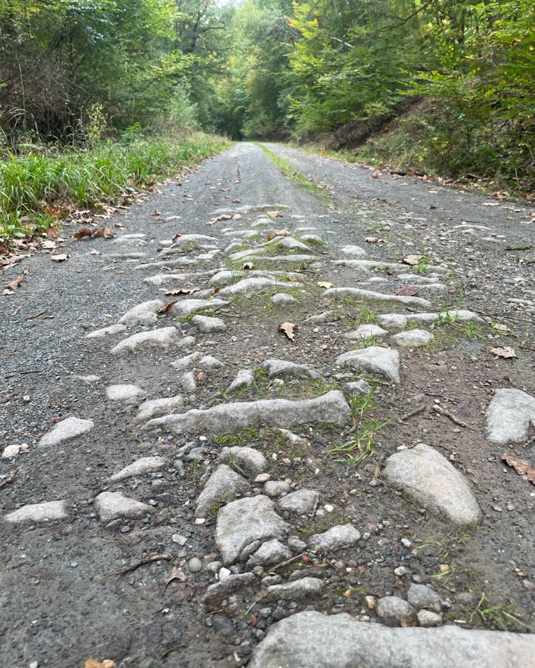 Wegebau- / Verkehrssicherungsmaßnahmen im Gemeindewald Auf dem Bild sieht man den nicht gut begehbaren Messeler Weg