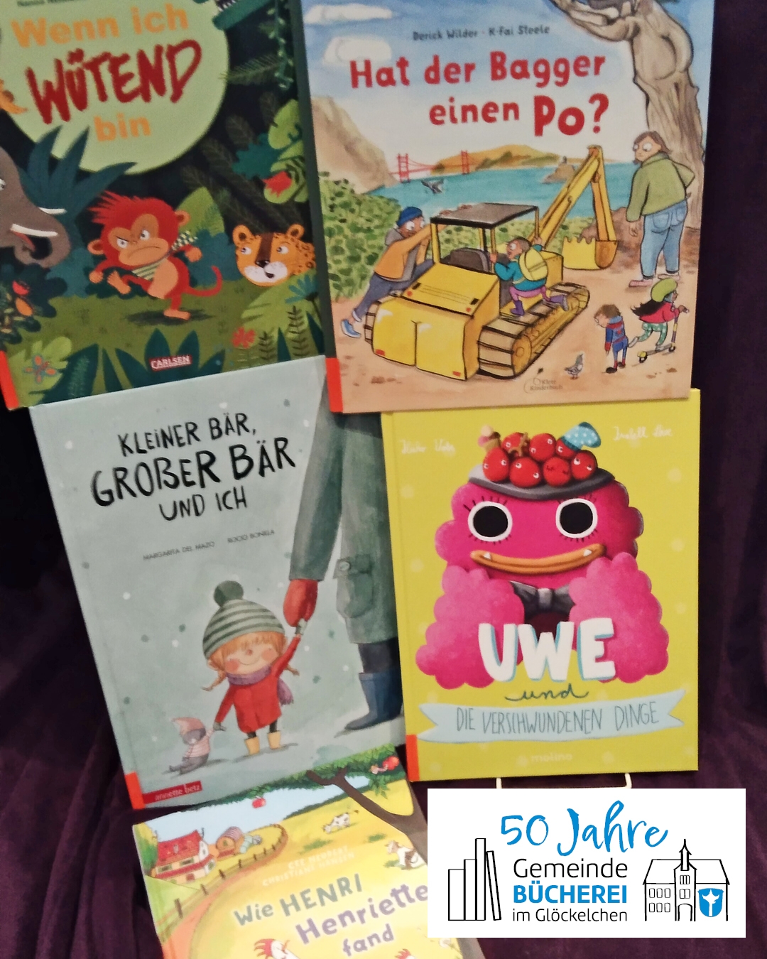 Auf den Foto sieht man einige der gespendeten Bücher