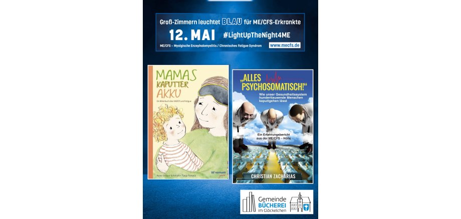 Auf dem Bild sieht man Bücher zum Thema ME/CFS