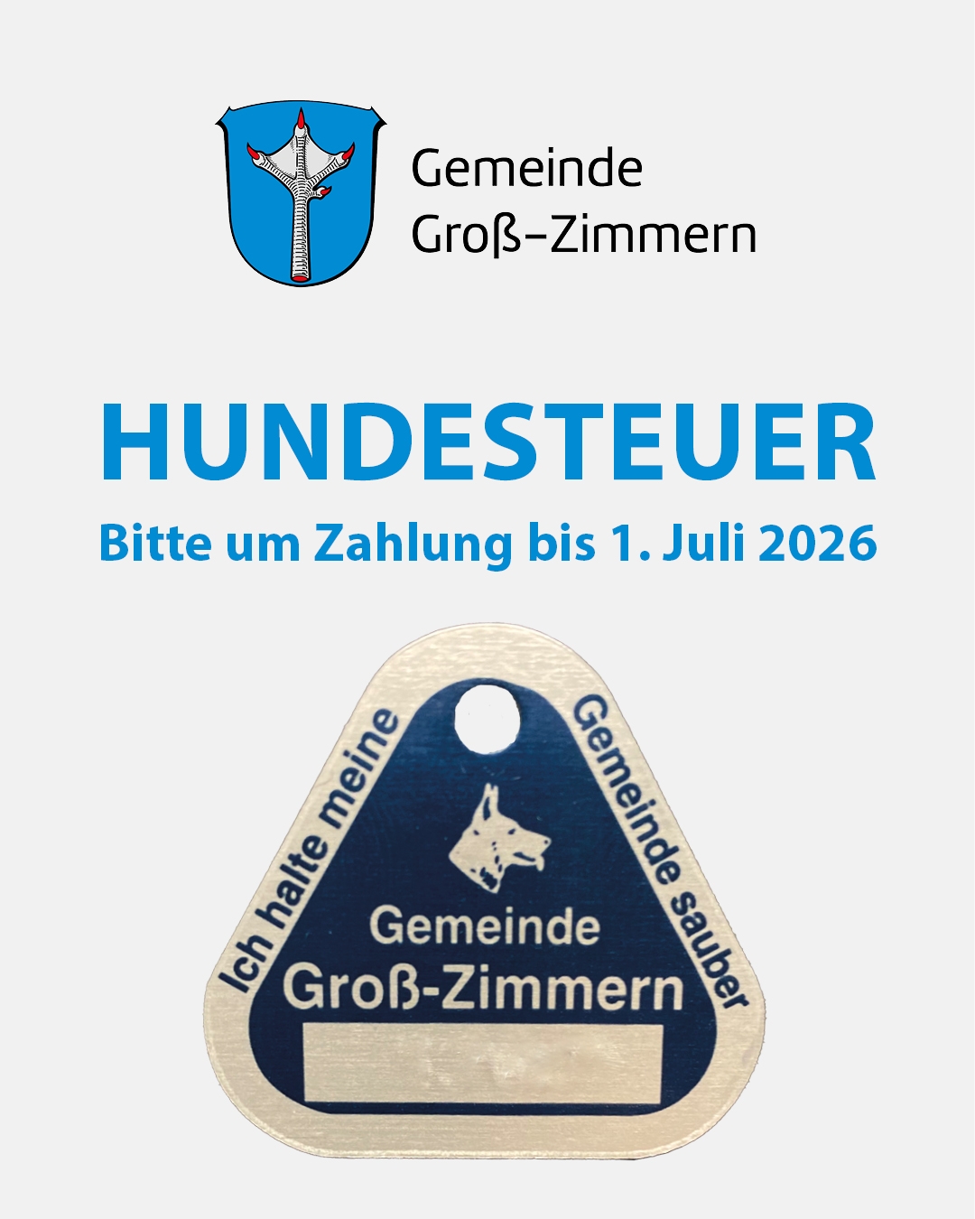 Die Finanzabteilung erinnert an den Zahlungstermin Hundesteuer 2026