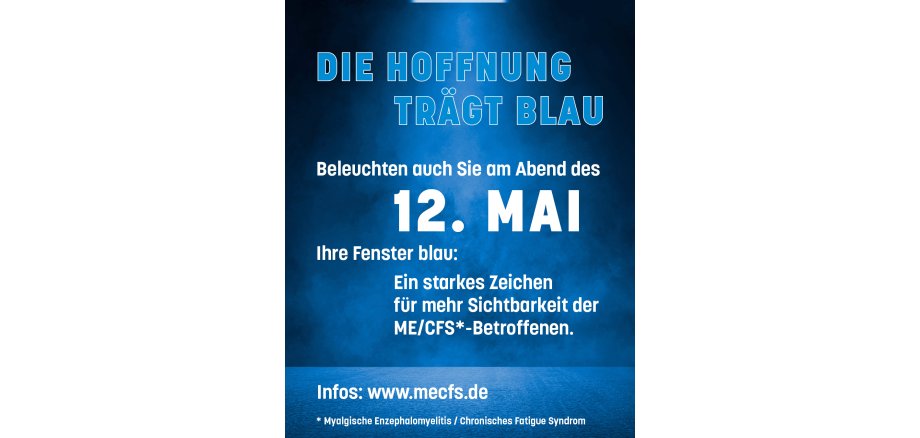 Es ist das Plakat zur Internationalen Sichtbarkeits-Aktion zu sehen