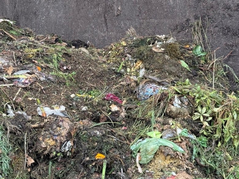 Tag der Biotonne Auf dem Foto sind Bioabfälle zu sehen