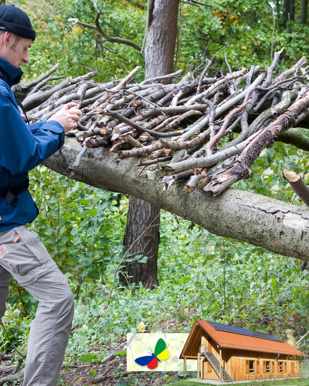 LandArt Auf dem Foto sieht man eine Veranstaltung an der Waldschule