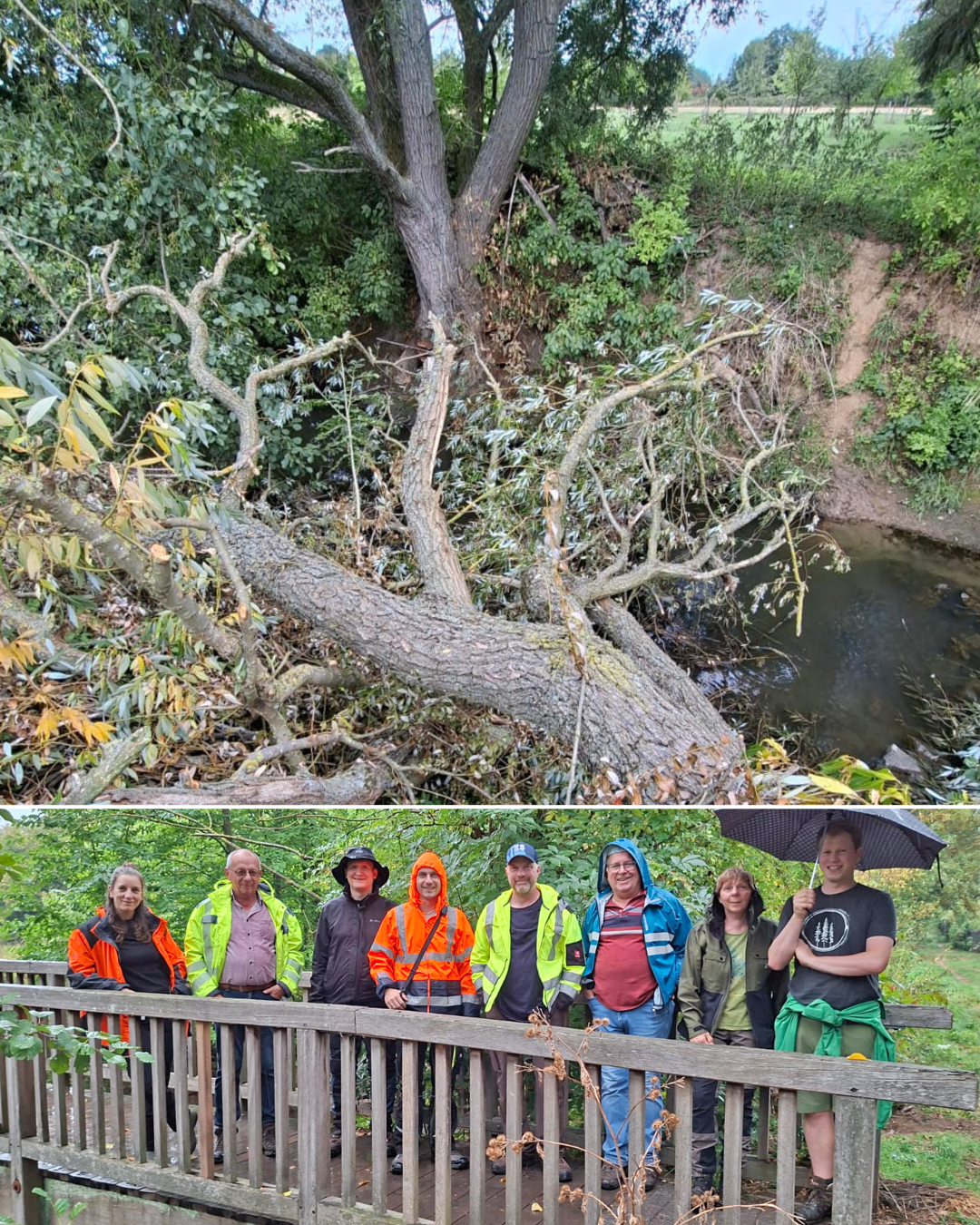 Starkregen und Hochwasser-Info-Mobil kommt nach Groß-Zimmern Auf dem oberen Foto sieht man den umgestürzten Baum an der Gersprenz und auf dem unterem Foto sieht man die Teilnehmer der Gewässerschau