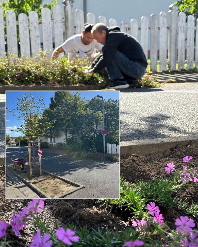 Gemeinsam anpacken Auf den beiden Fotos wird der Vorher-Nachher-Zustand des Beetes deutlich