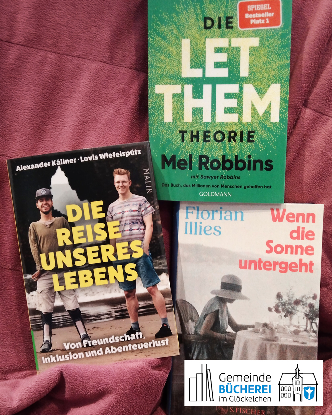 Auf dem Foto sind verschiedene Bücher zu sehen
