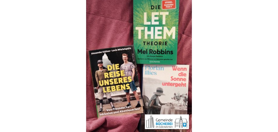 Auf dem Foto sind verschiedene Bücher zu sehen