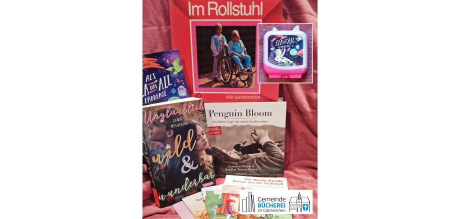 Gemeinsam Barrieren überwinden Auf dem Foto sind verschiedene Bücher zu sehen