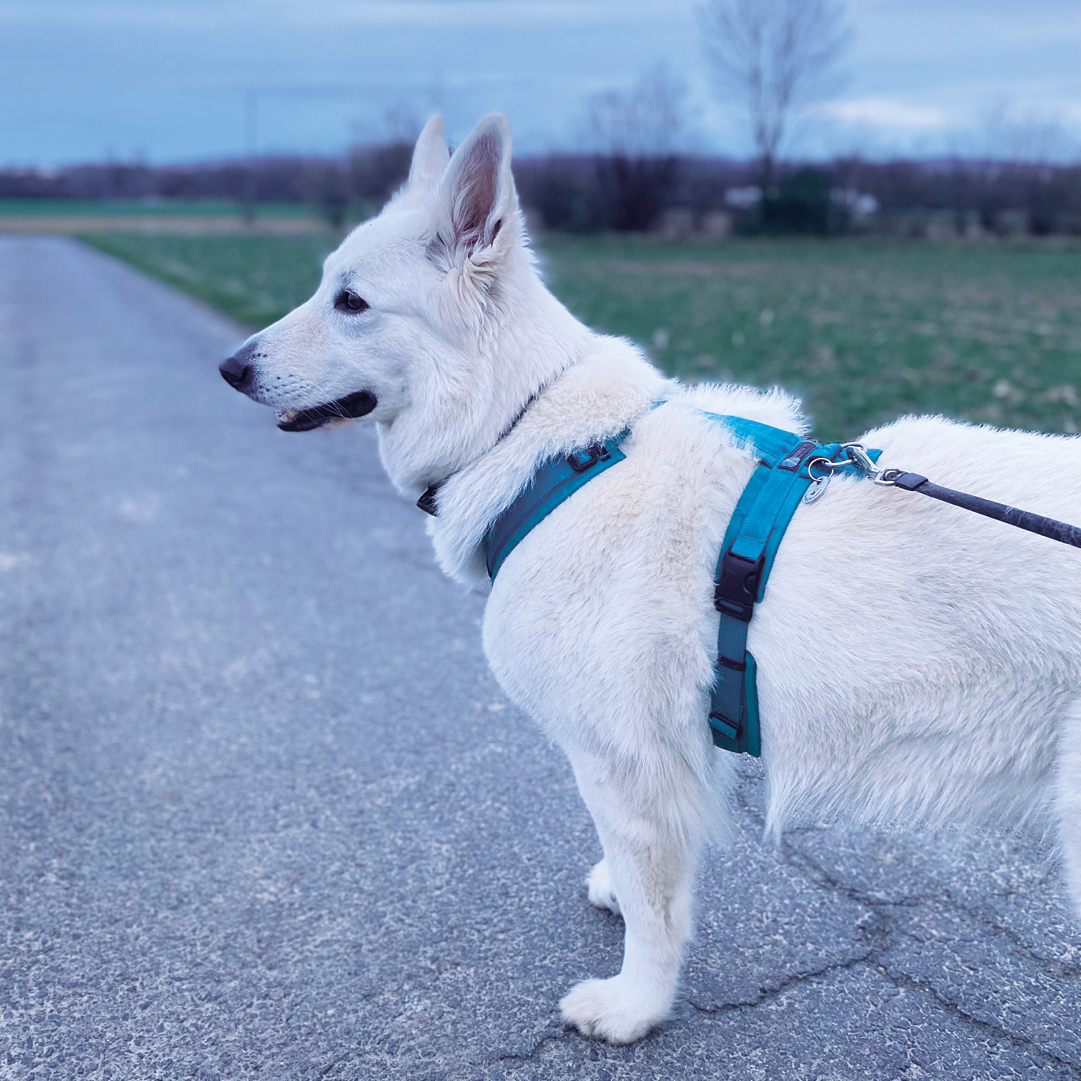 header_stadtfahren2 header_stadtfahren2