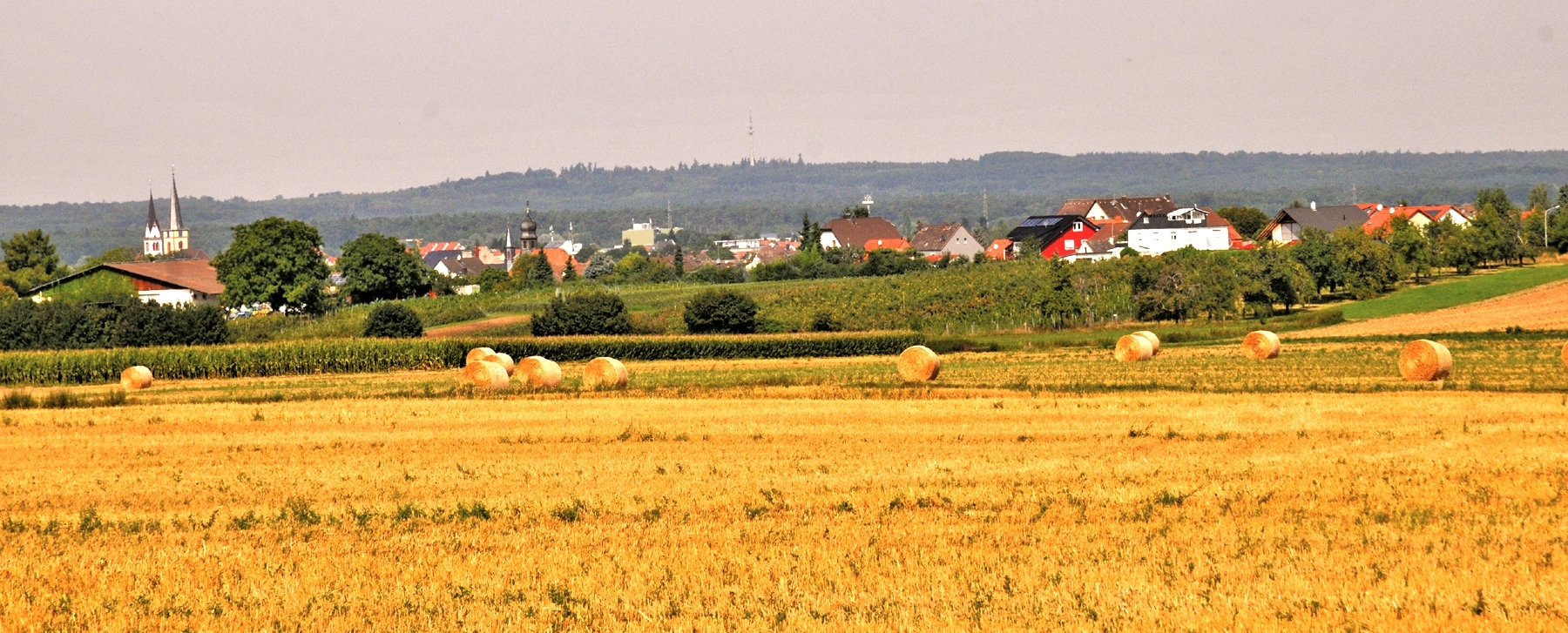 Groß-Zimmern Panorama - Felder 